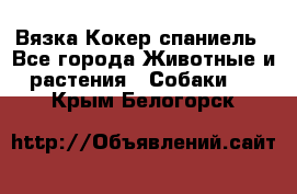 Вязка Кокер спаниель - Все города Животные и растения » Собаки   . Крым,Белогорск